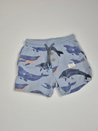 Kraťasy Coccodrillo 86