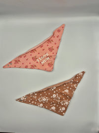 Sada 2ks slintáčků